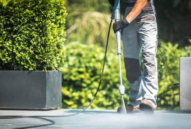 Best Warehouse Cleaning  in Saugerties South, NY